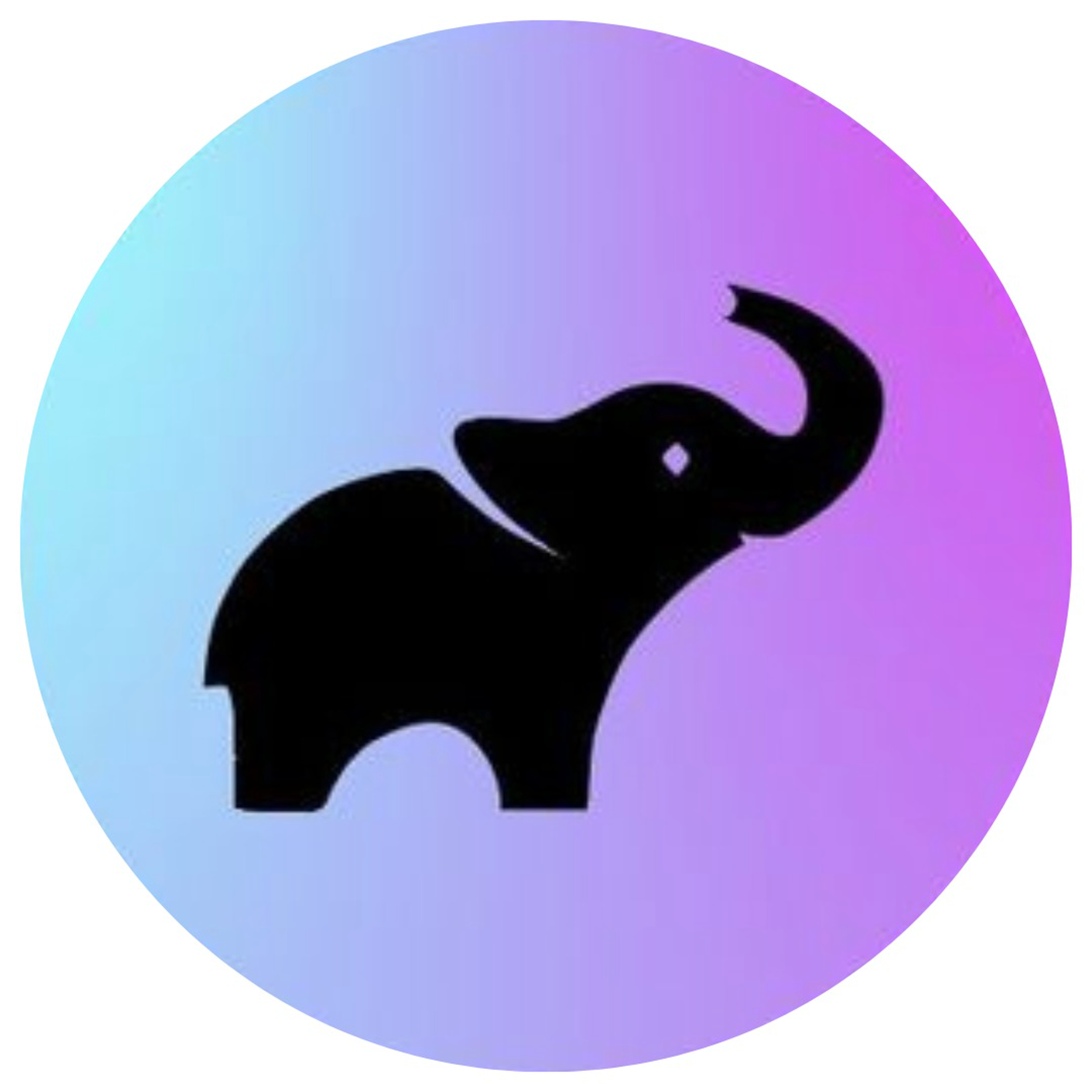 Startup Stories