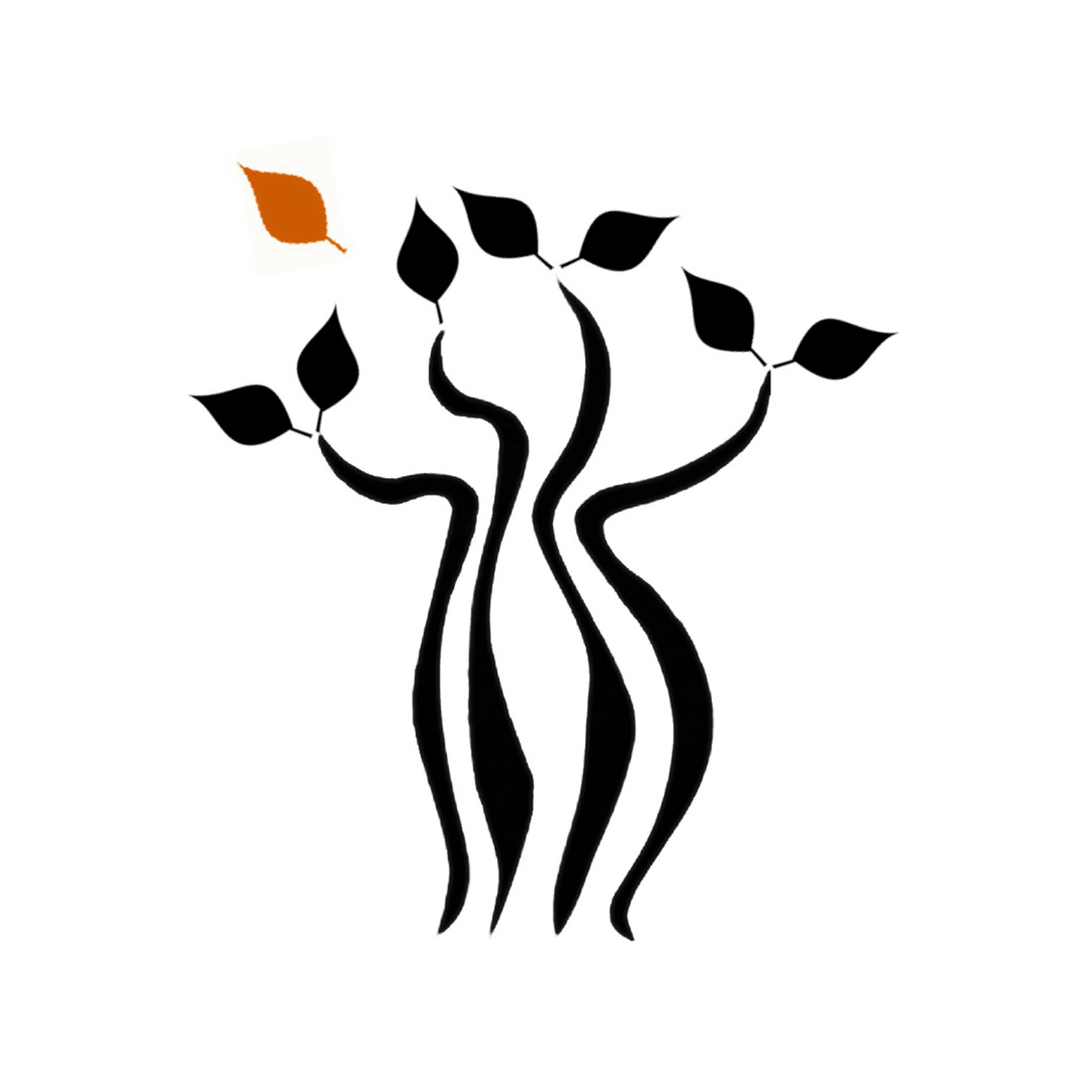 Palliative Care Matters
